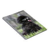 Carnet Pomeranian supérieur noir (Côté Droit)