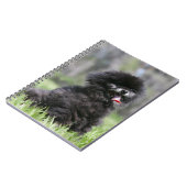 Carnet Pomeranian supérieur noir (Côté gauche)