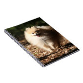 Carnet Pomeranian trottant dans le feuille tombé (Côté Droit)