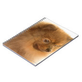 Carnet Poméranien (Côté gauche)