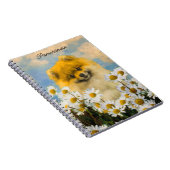 Carnet Poméranien dans Daisies Peinture - Art Chien origi (Côté Droit)