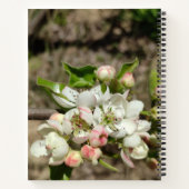 Carnet Pomme bourre fleur (Dos)