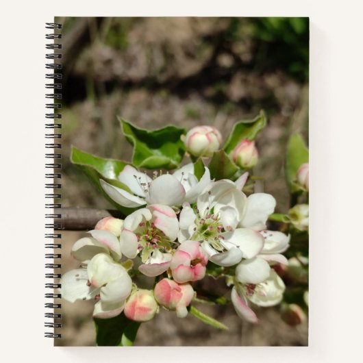 Carnet Pomme bourre fleur (Devant)