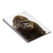 Carnet Pomme de Gorille (Côté Droit)