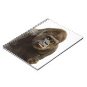 Carnet Pomme de Gorille (Côté gauche)