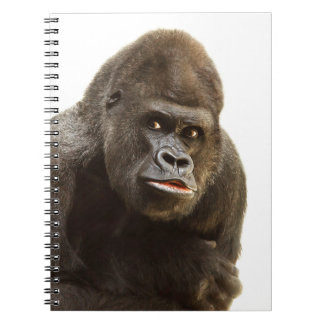 Carnet Pomme de Gorille