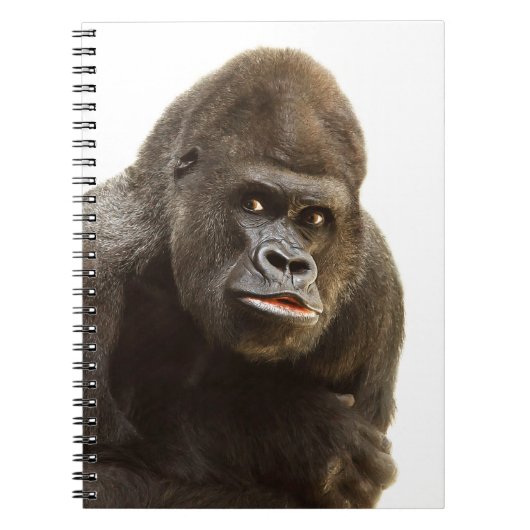 Carnet Pomme de Gorille (Devant)