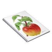 Carnet " Pomme Jeanne Hardy " (Côté Droit)