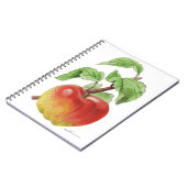 Carnet " Pomme Jeanne Hardy " (Côté gauche)