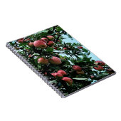 Carnet Pommes (Côté Droit)