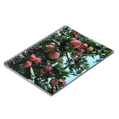 Carnet Pommes (Côté gauche)