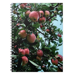 Carnet Pommes