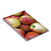 Carnet Pommes (Côté Droit)