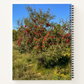 Carnet Pommes de point (Dos)