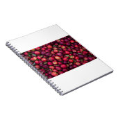 Carnet Pommes rouges (Côté Droit)