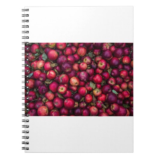 Carnet Pommes rouges (Devant)