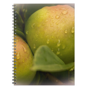 Carnet Pommes vertes fraîches avec gouttes de pluie