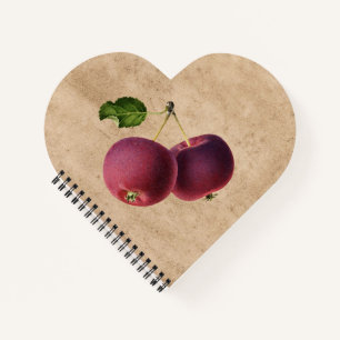 Carnet Pommes vintages sur une branche