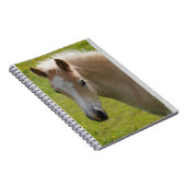 Carnet Poney de Haflinger (race rare) (Côté Droit)
