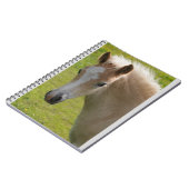 Carnet Poney de Haflinger (race rare) (Côté gauche)