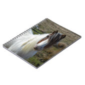 Carnet Poney doux de Connemera (Côté gauche)