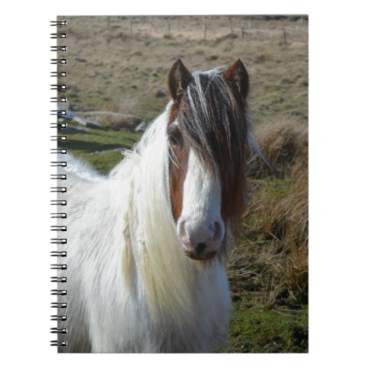 Carnet Poney doux de Connemera (Devant)