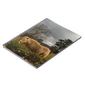 Carnet Poney miniature blond / Cheval (Côté gauche)