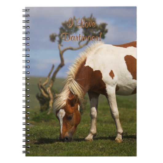 Carnet Poney sauvage adorable sur Dartmoor (Devant)