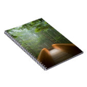 Carnet Pont de forêt de séquoia (Côté Droit)