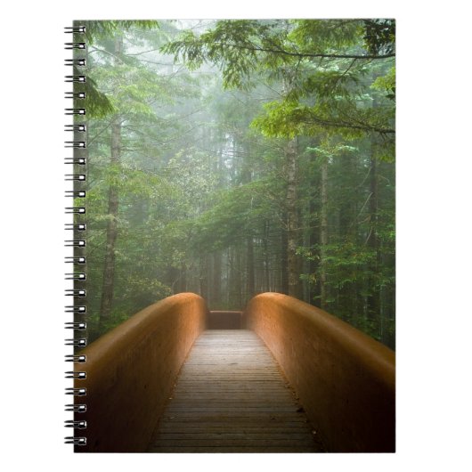 Carnet Pont de forêt de séquoia (Devant)