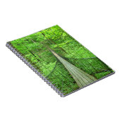 Carnet Pont suspendu (Côté Droit)