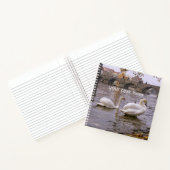 Carnet Pont Swans et Charles à Prague (Intérieur)