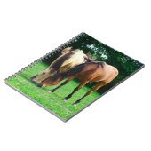 Carnet Pony Love (Côté gauche)