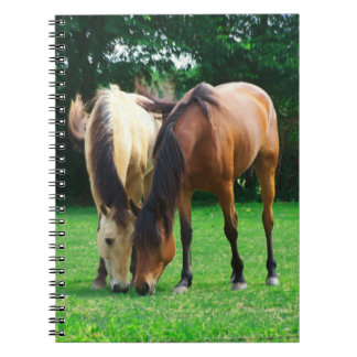 Carnet Pony Love