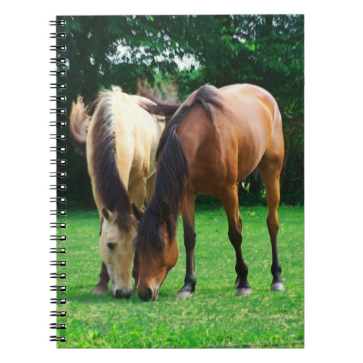 Carnet Pony Love (Devant)