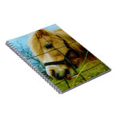 Carnet Pony miniature blond / Cheval Ciel bleu (Côté Droit)