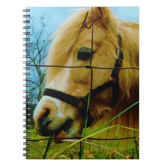 Carnet Pony miniature blond / Cheval Ciel bleu (Devant)