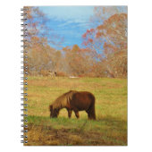 Carnet Pony miniature Brown (Devant)