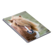 Carnet Pony Shetland sur l'île d'Unst (Côté Droit)