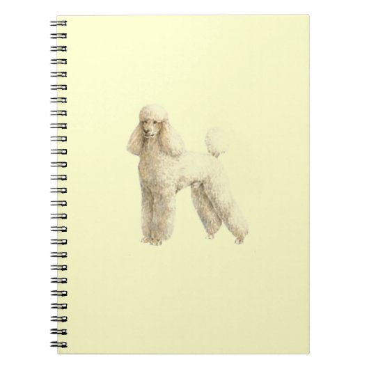 Carnet Poodle — Clip de chiot (Devant)