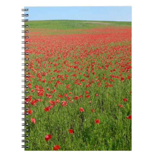 Carnet Poppies alive ! (Devant)
