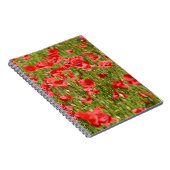 Carnet Poppy field (Côté Droit)