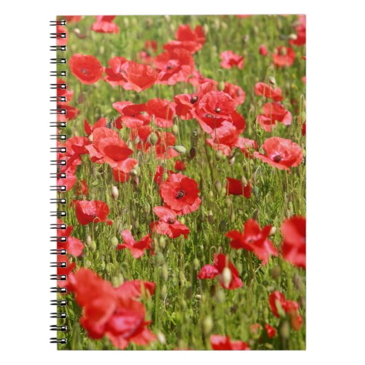 Carnet Poppy field (Devant)