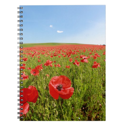 Carnet Poppy field (Devant)
