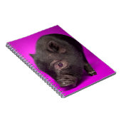 Carnet Porc noir de bébé (Côté Droit)