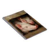 Carnet Porcelets curieux (Côté Droit)