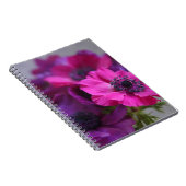 Carnet portable anemones (Côté Droit)