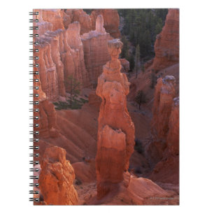 Carnet Porte-malheur du marteau du Thor sur la traînée