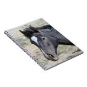 Carnet Portebook Poseidon de Sand Wash Basin (Côté Droit)