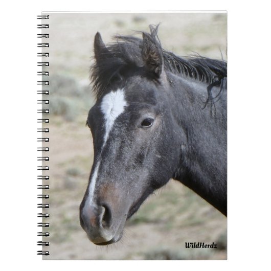 Carnet Portebook Poseidon de Sand Wash Basin (Devant)